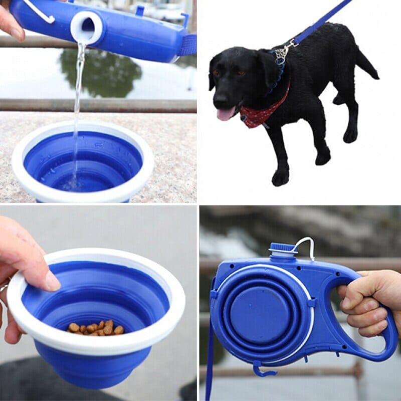 HydroLeash: The Ultimate Water Bowl Dog Leash for Active Pups