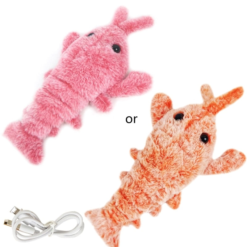Interactive Cat and Dog Toys