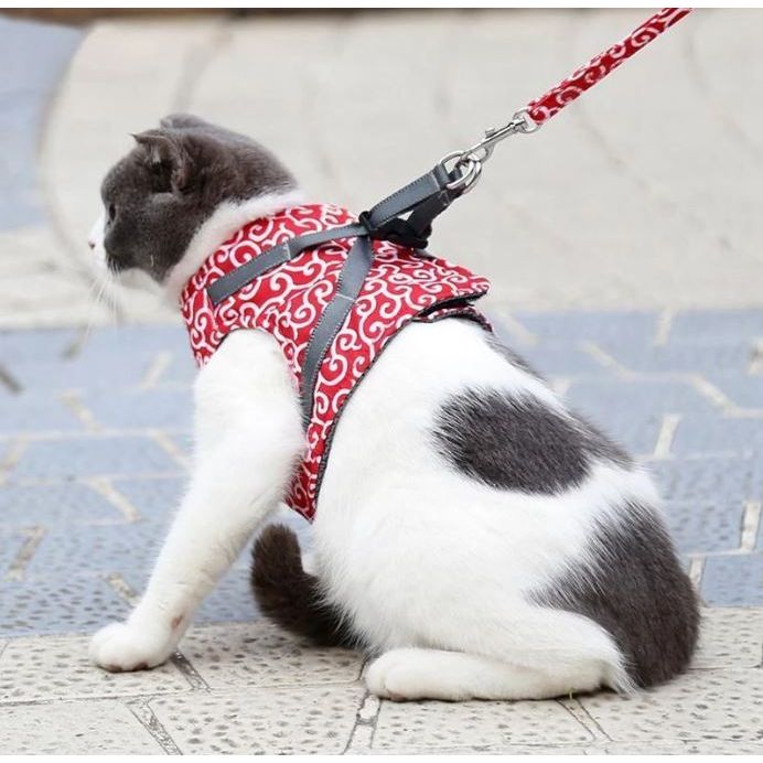 Cat Vest Harness and Leash Set