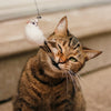 Load image into Gallery viewer, Interactive Bird Simulation Cat Toy Set