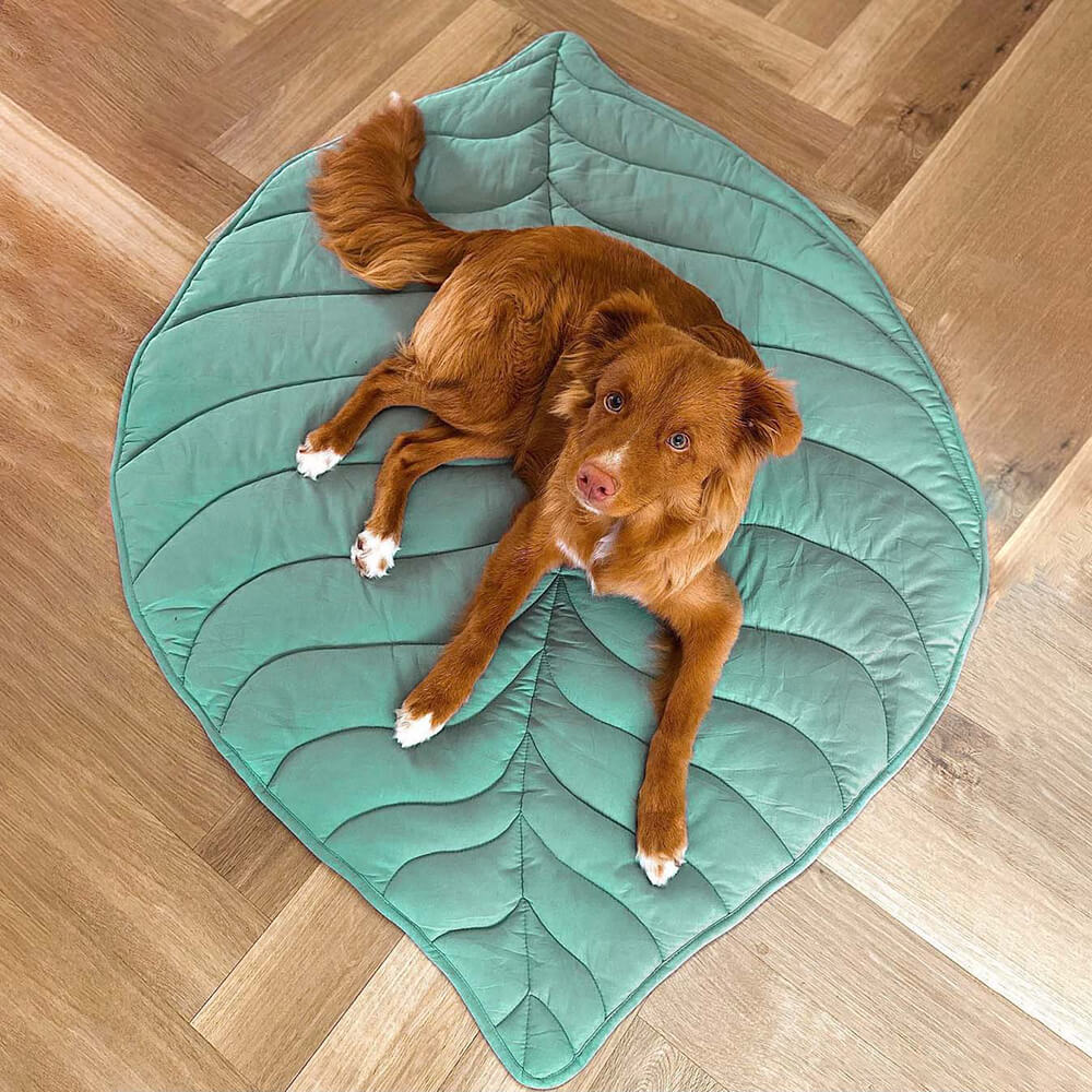 LUEPET™ Leaf Shape Dog Blanket
